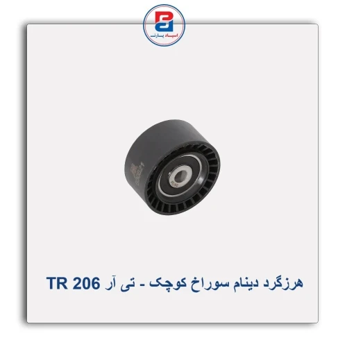 هرزگرد دینام سوراخ کوچک - تی آر TR 206