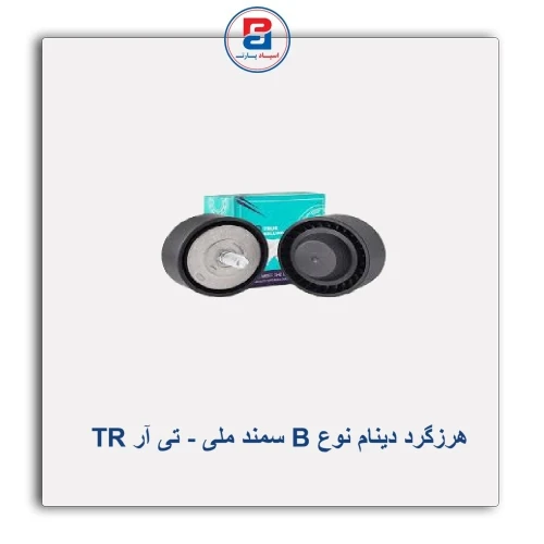 هرزگرد دینام نوع B سمند ملی - تی آر TR