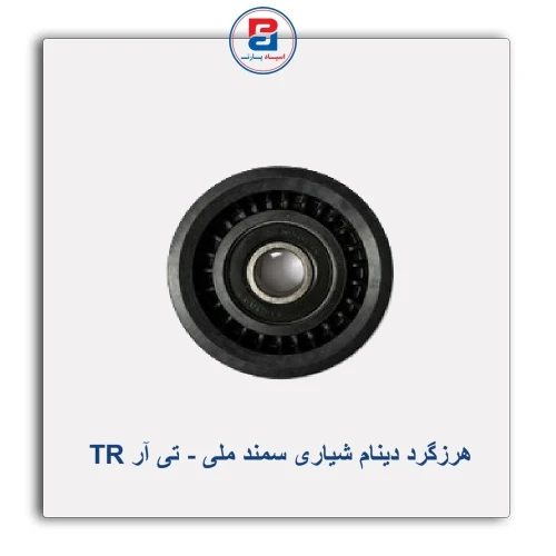 هرزگرد دینام شیاری سمند ملی - تی آر TR