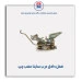 قفل داخل درب ساینا -امکو