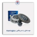 کیت کلاچ رانا هرینگتون Harrington