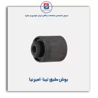 بوش طبق تیبا-امیرنیا
