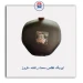 ایربگ اطلس-کروز